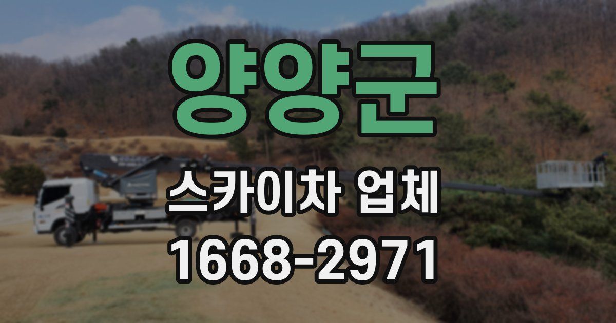 양양군 스카이차 업체