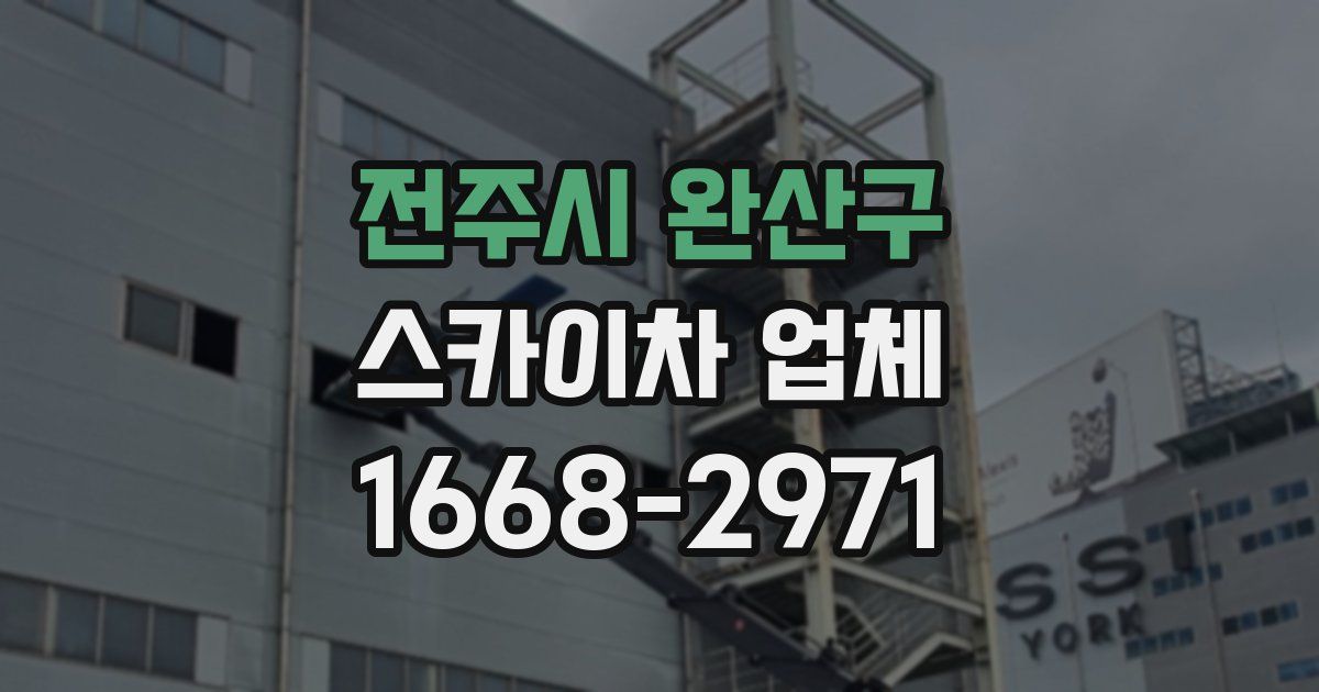 전주시 완산구 스카이차 업체