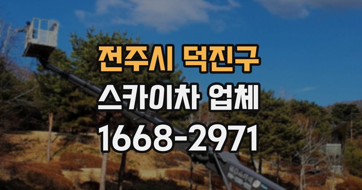 전주시 덕진구 스카이차 업체