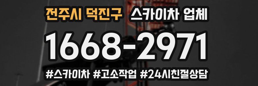전주시 덕진구 스카이차 업체