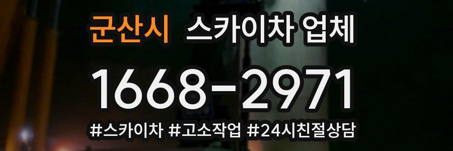 군산시 스카이차 업체