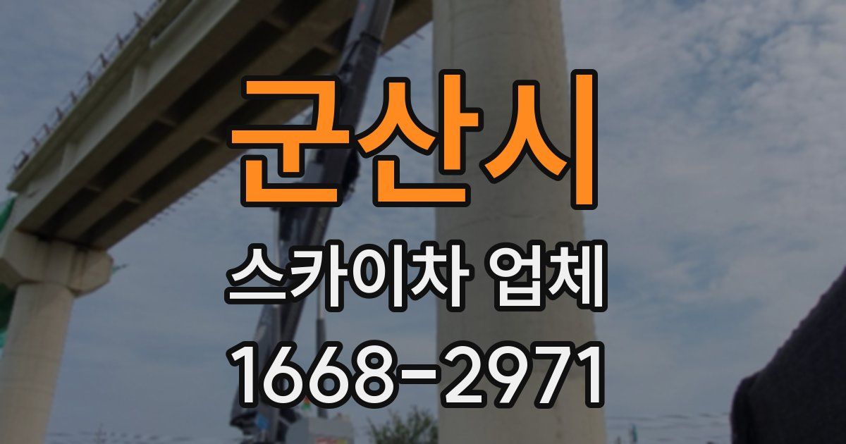 군산시 스카이차 업체