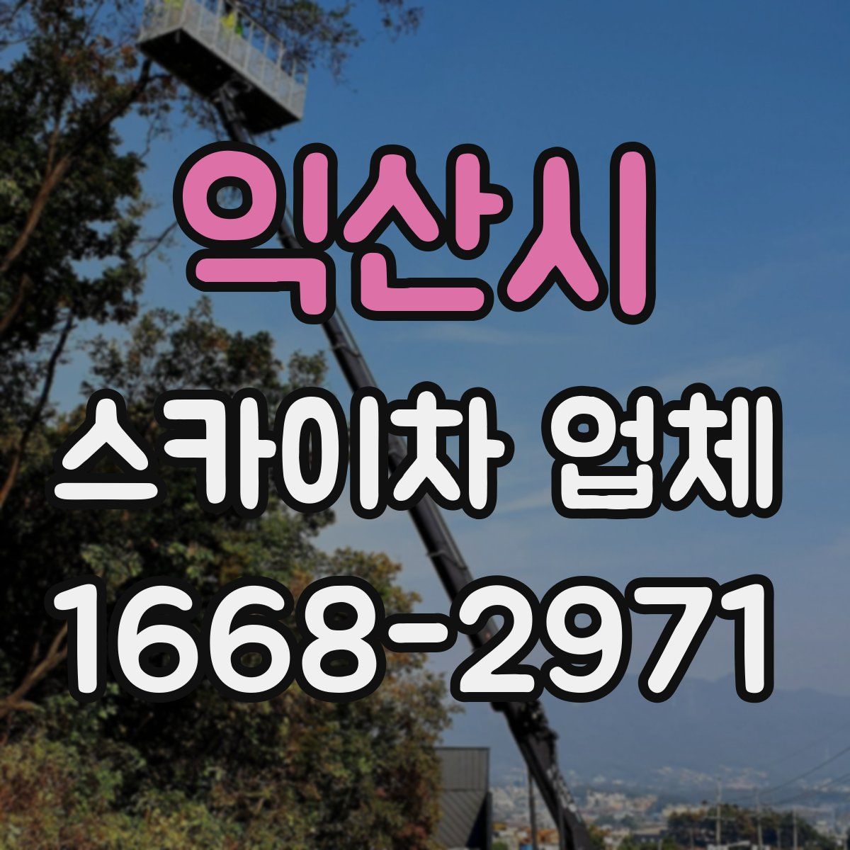 익산시 스카이차 업체