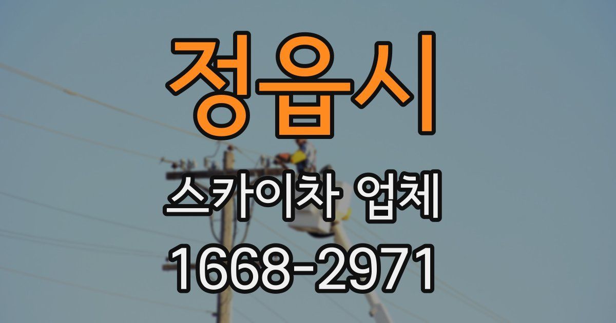 정읍시 스카이차 업체