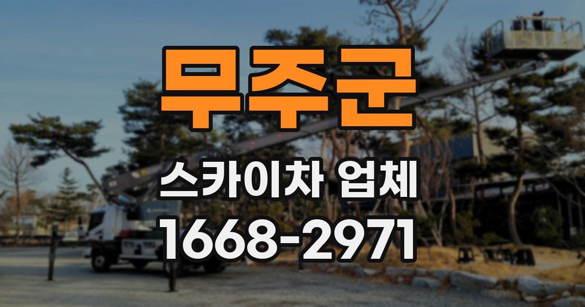 무주군 스카이차 업체