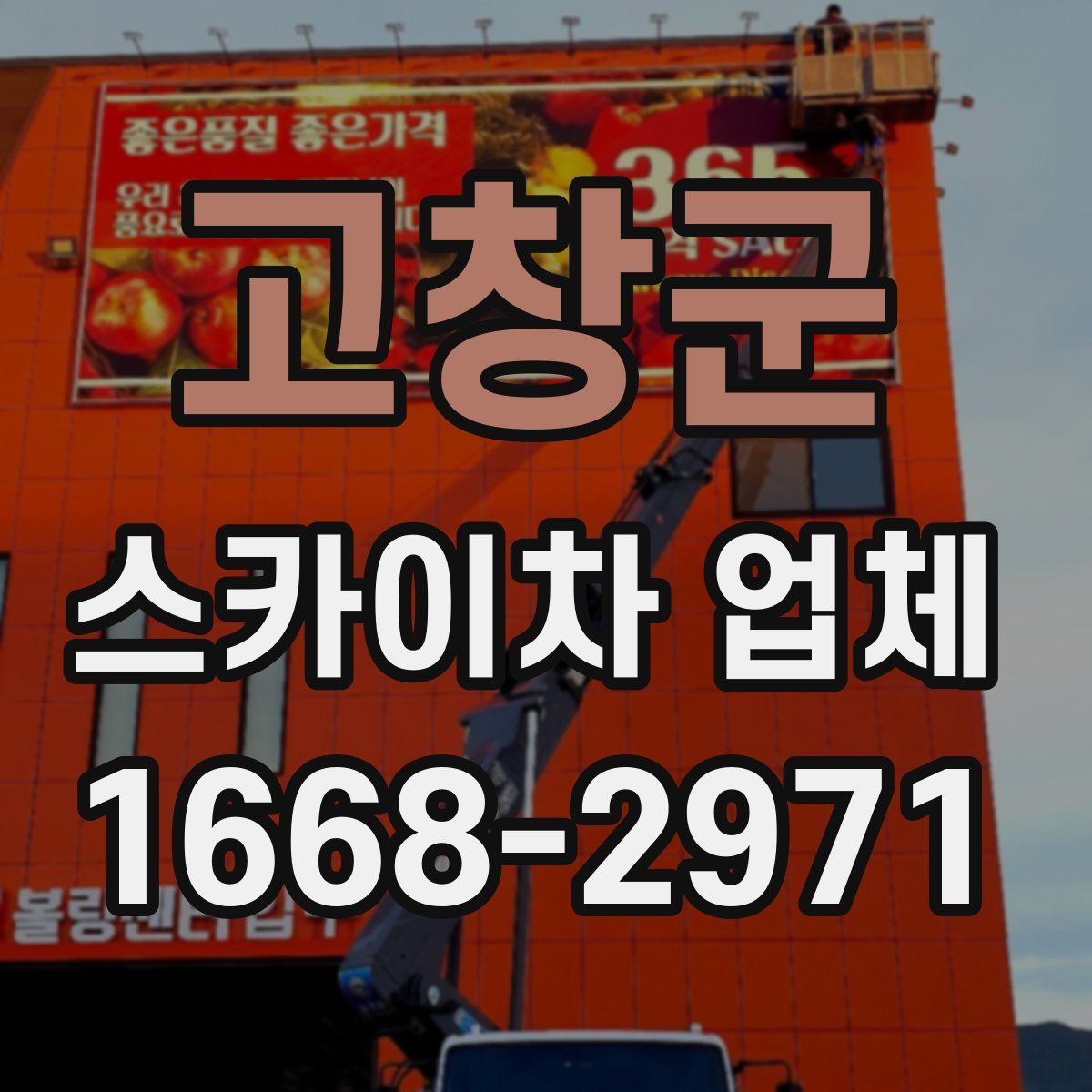고창군 스카이차 업체