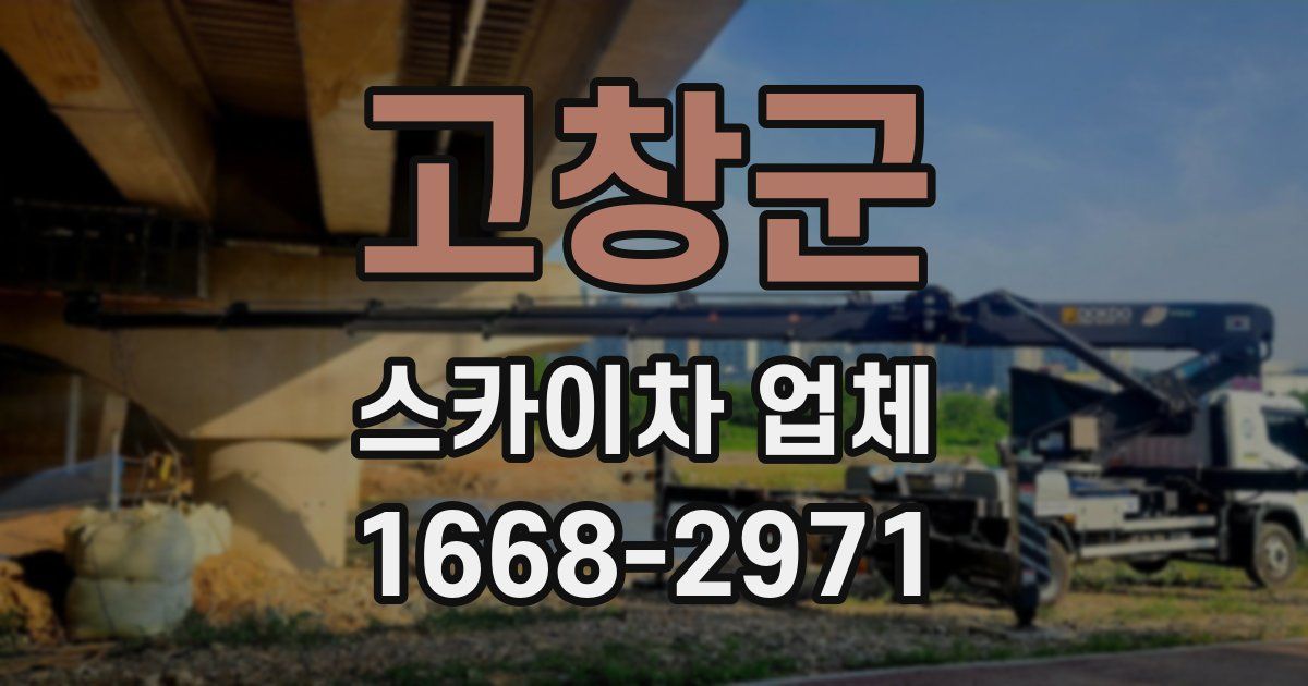 고창군 스카이차 업체
