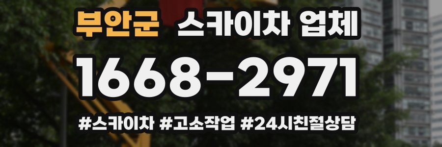 부안군 스카이차 업체