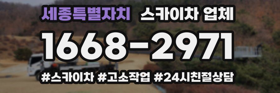 세종특별자치 스카이차 업체