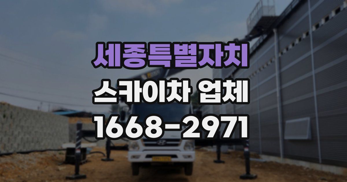 세종특별자치 스카이차 업체