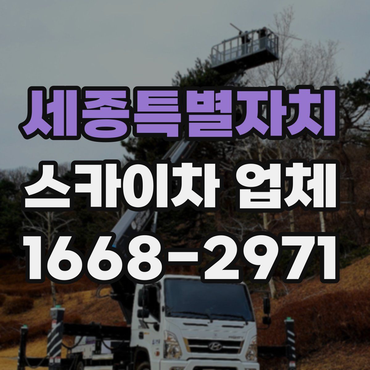 세종특별자치 스카이차 업체