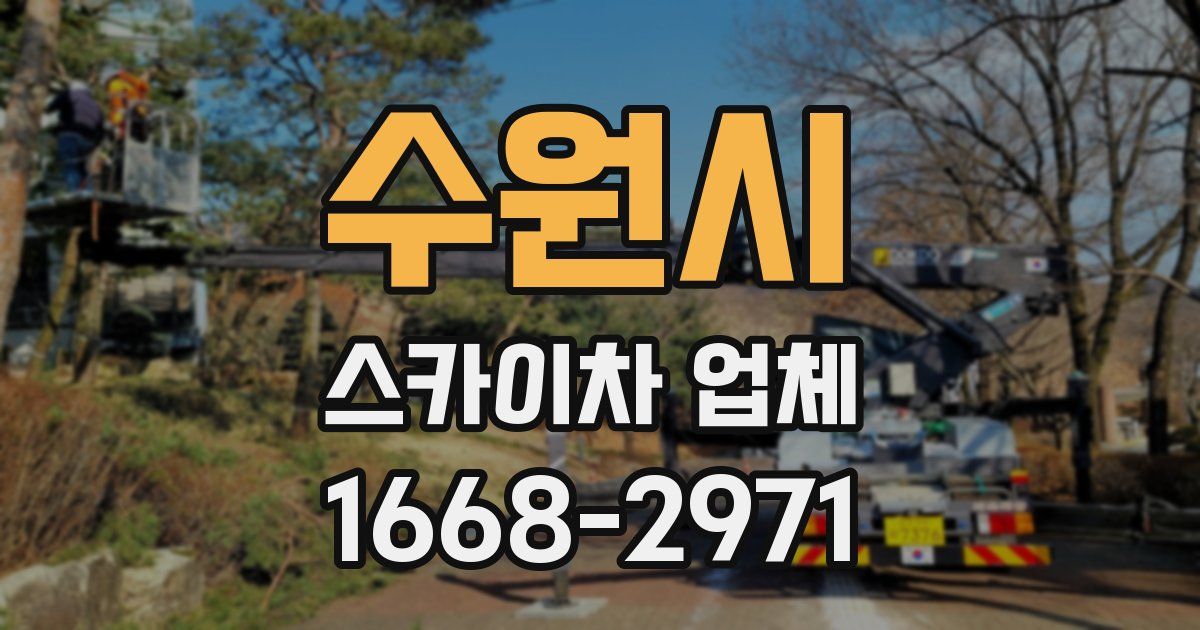 수원시 스카이차 업체