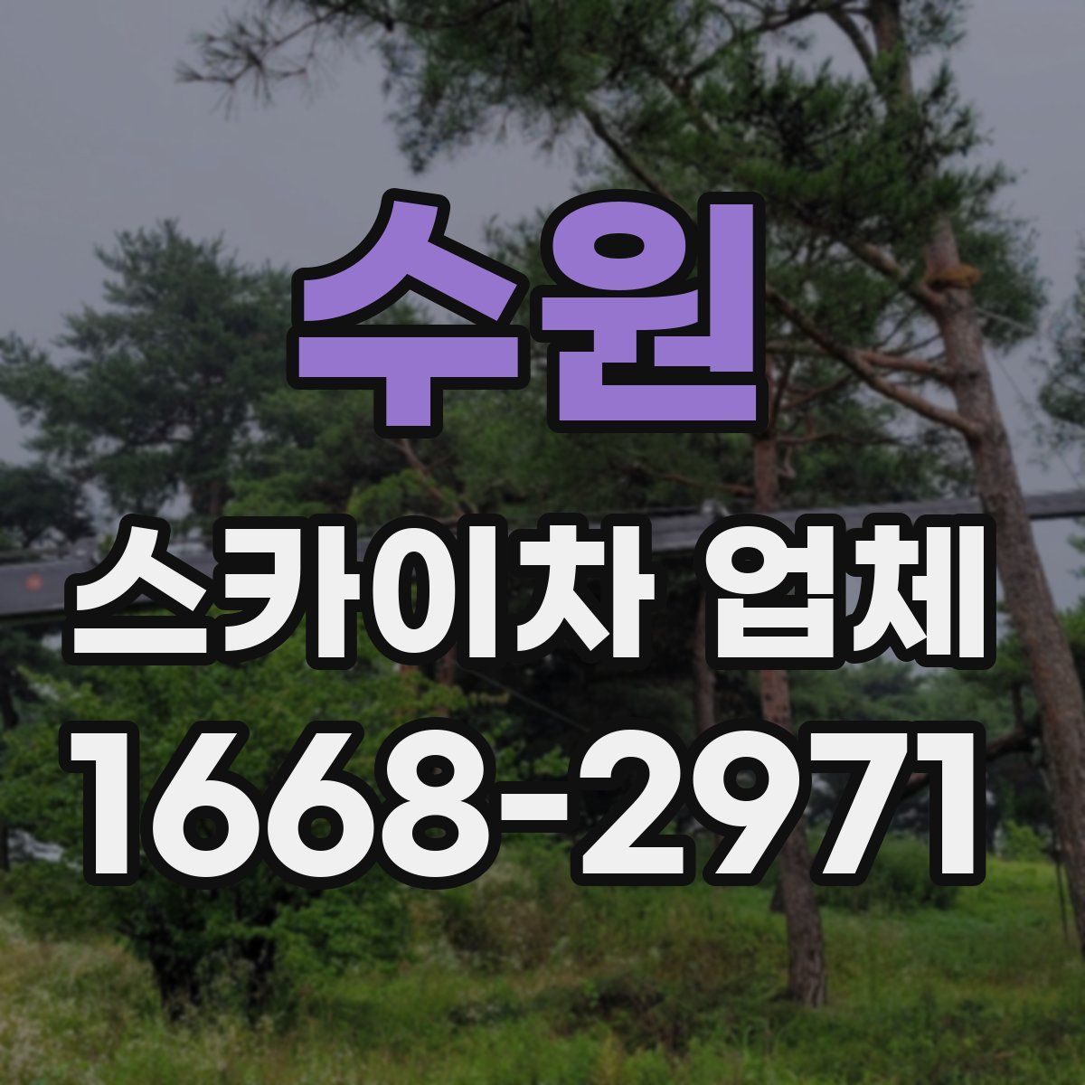 수원 스카이차 업체