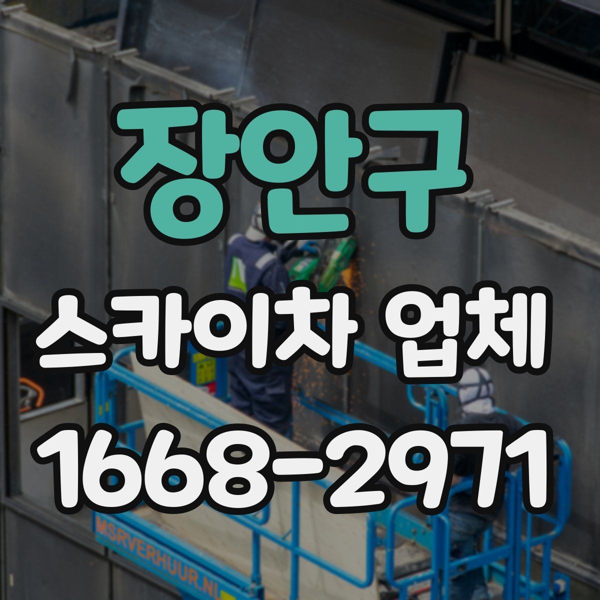 장안구 스카이차 업체