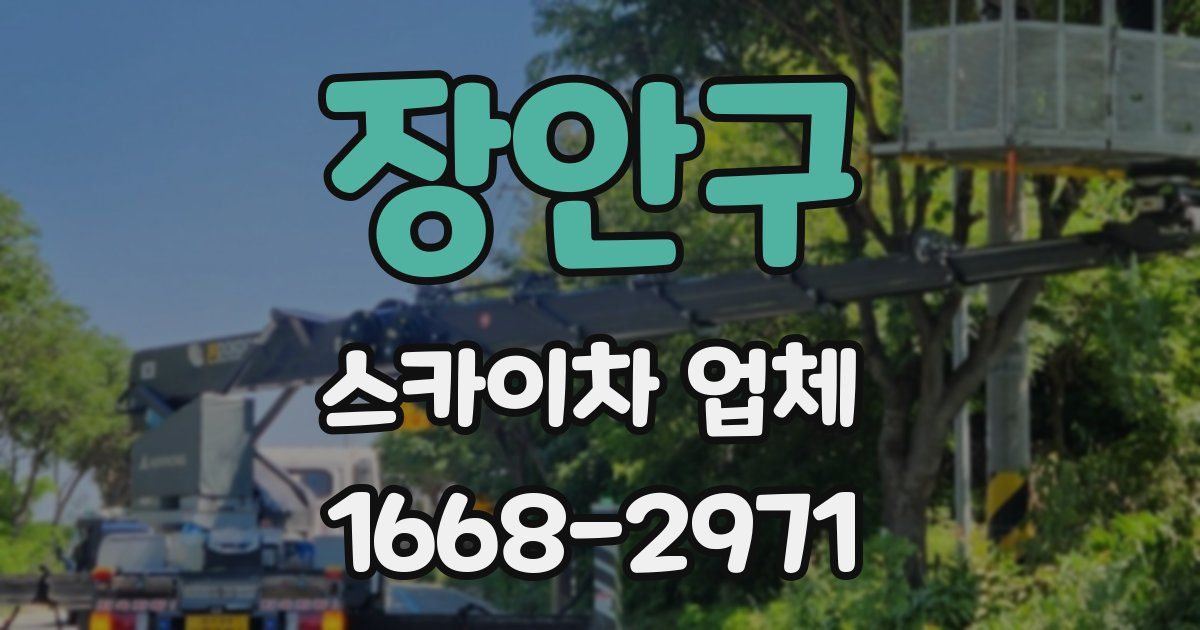 장안구 스카이차 업체
