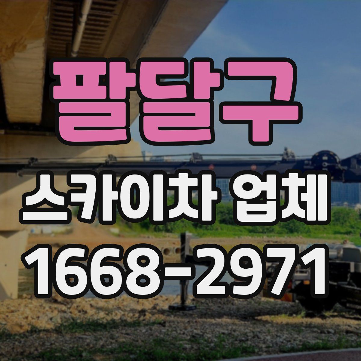 팔달구 스카이차 업체