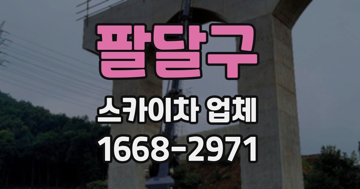 팔달구 스카이차 업체