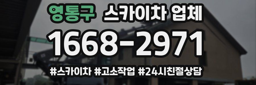 영통구 스카이차 업체