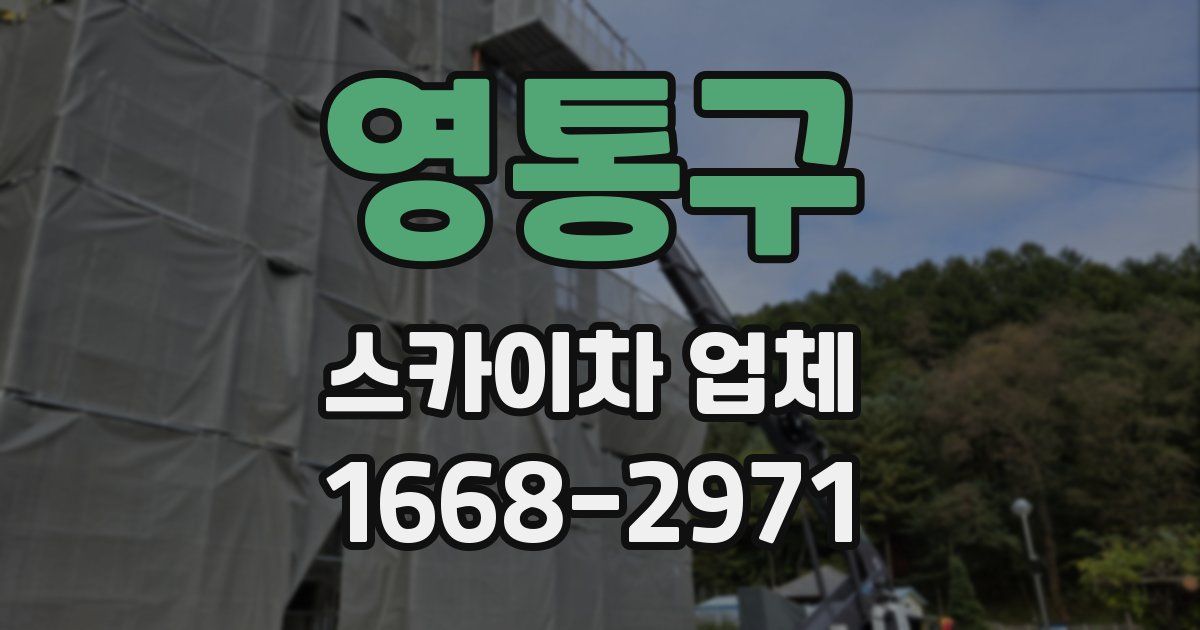 영통구 스카이차 업체