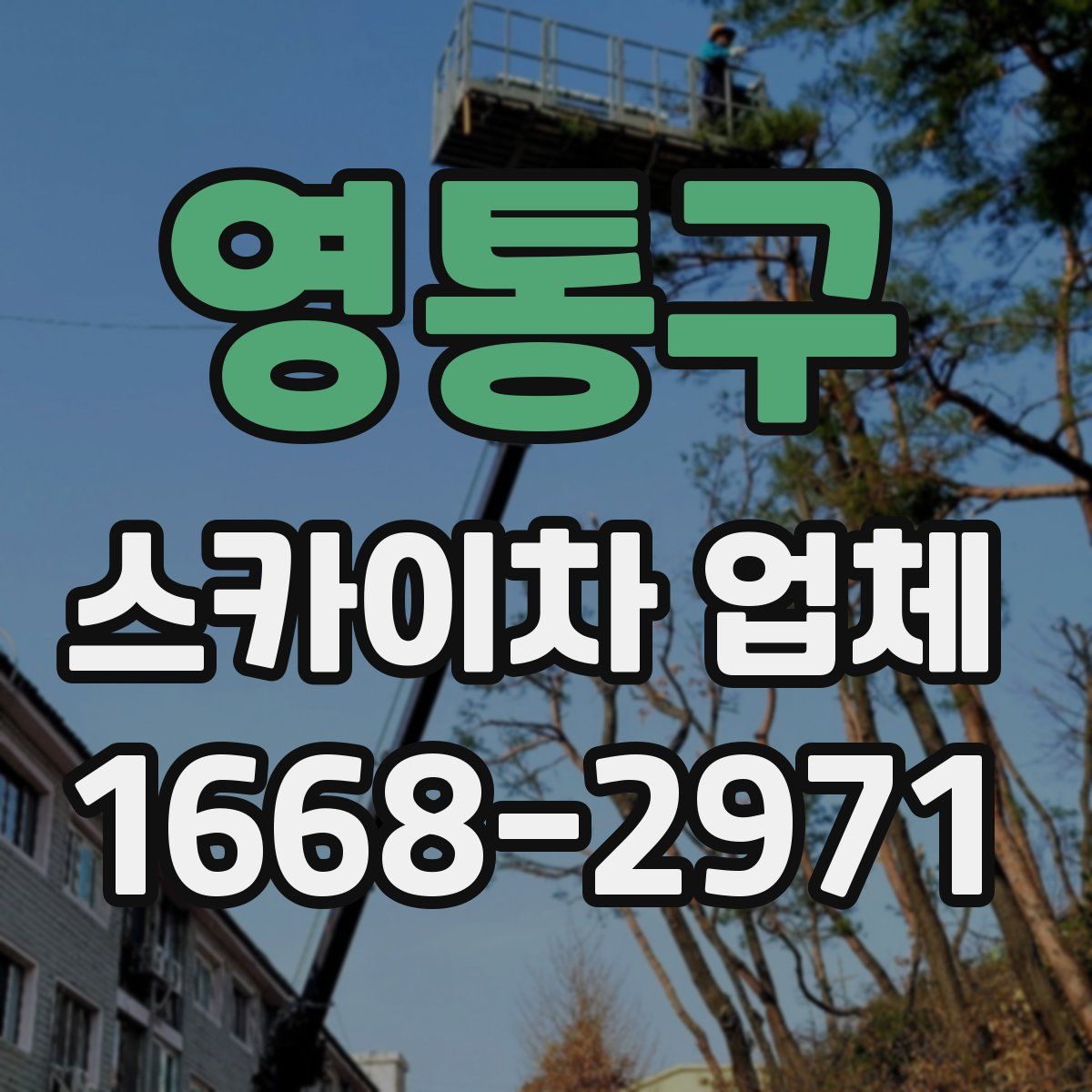영통구 스카이차 업체