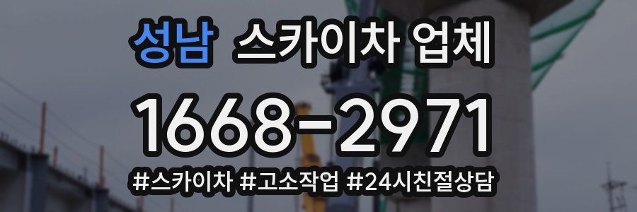 성남 스카이차 업체