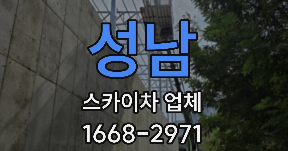 성남 스카이차 업체