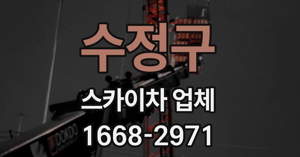 수정구 스카이차 업체
