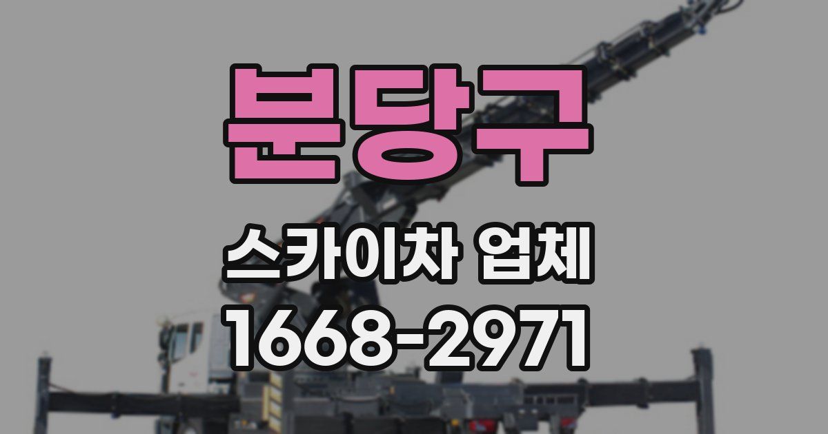 분당구 스카이차 업체