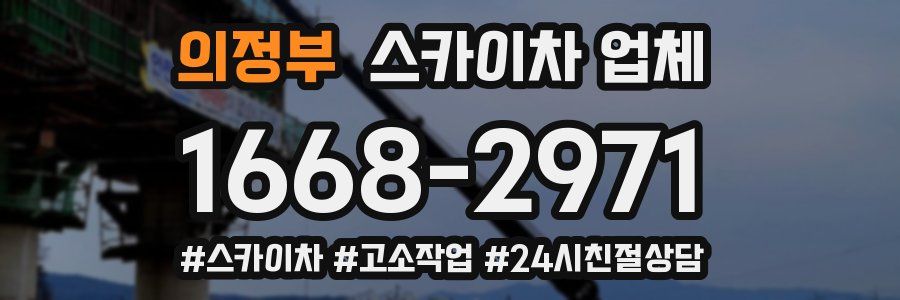 의정부 스카이차 업체