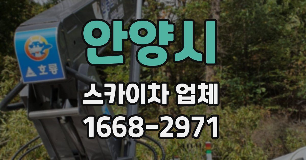 안양시 스카이차 업체