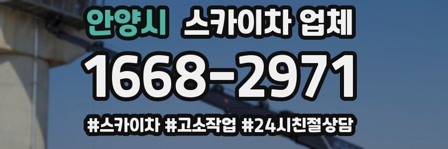 안양시 스카이차 업체