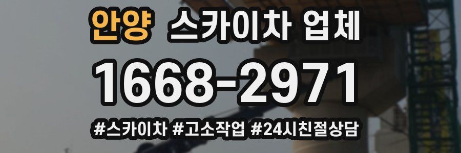 안양 스카이차 업체