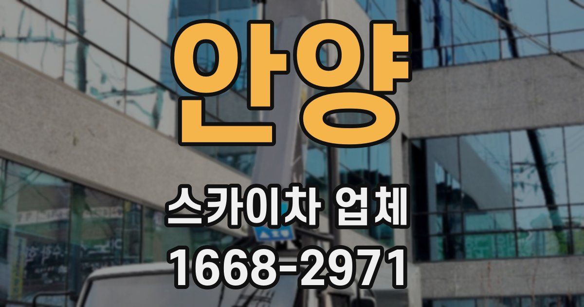 안양 스카이차 업체