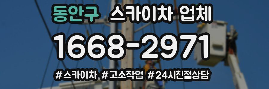 동안구 스카이차 업체