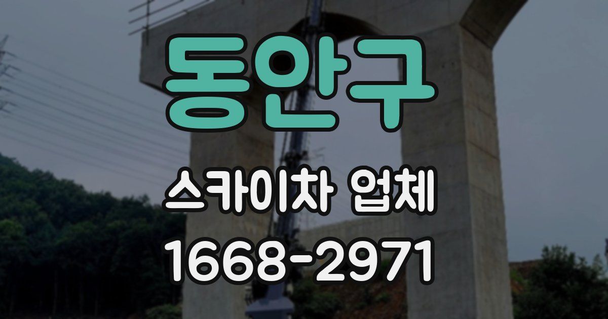 동안구 스카이차 업체