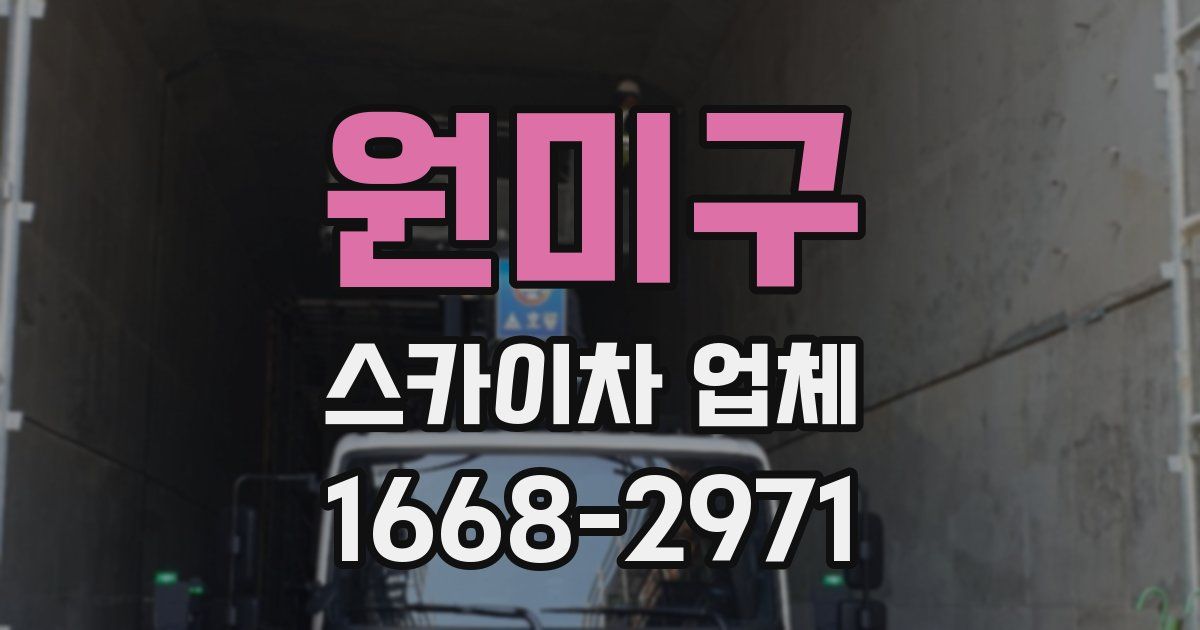 원미구 스카이차 업체