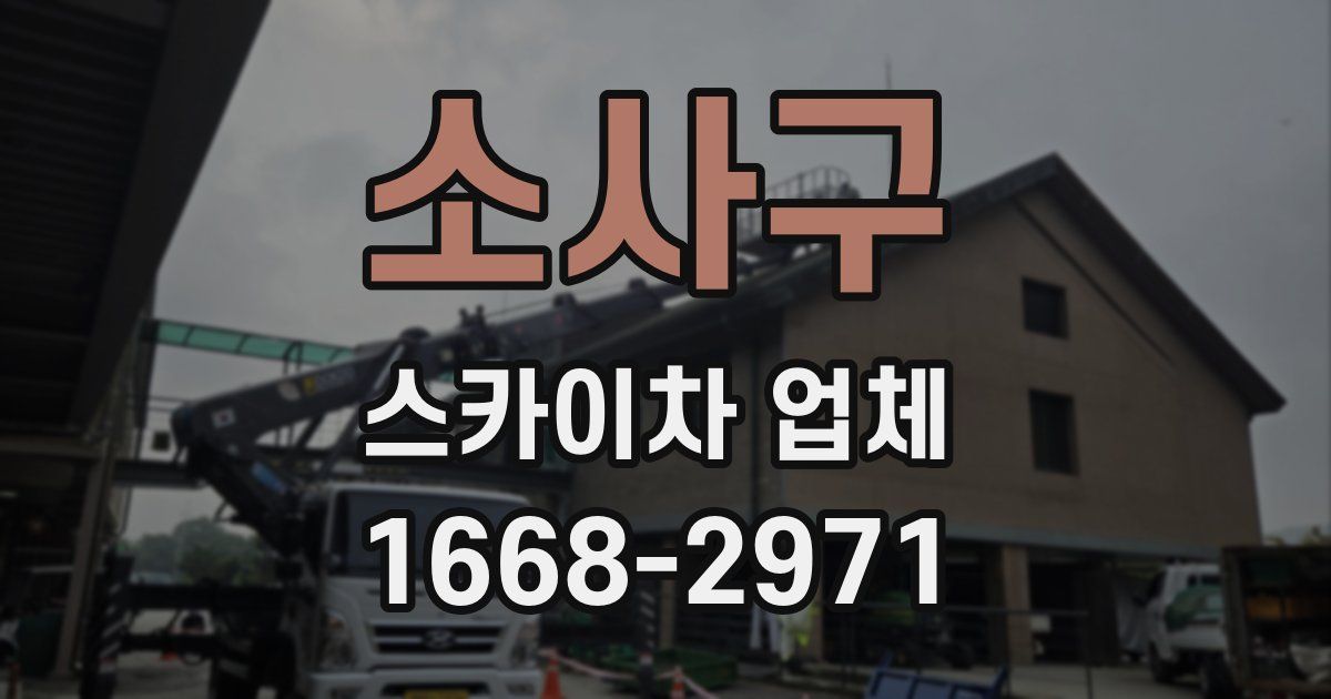 소사구 스카이차 업체