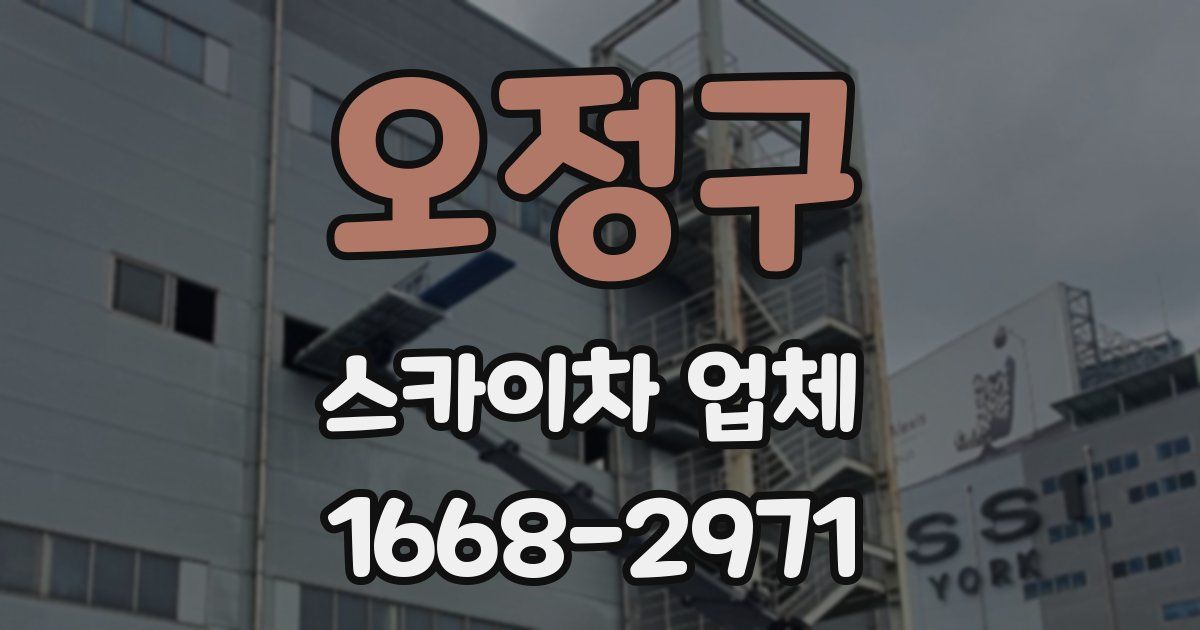 오정구 스카이차 업체