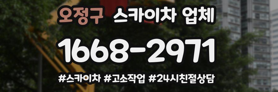 오정구 스카이차 업체