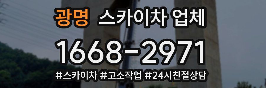 광명 스카이차 업체
