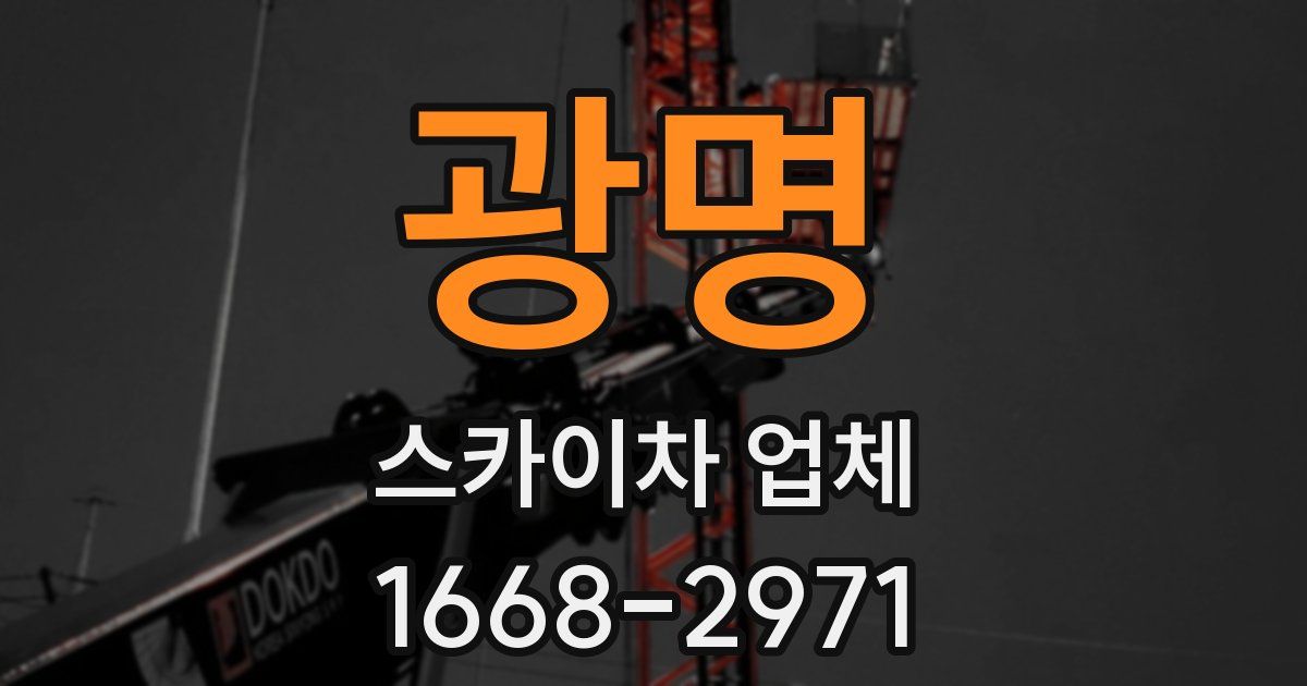 광명 스카이차 업체