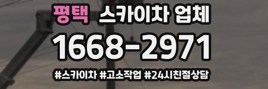평택 스카이차 업체