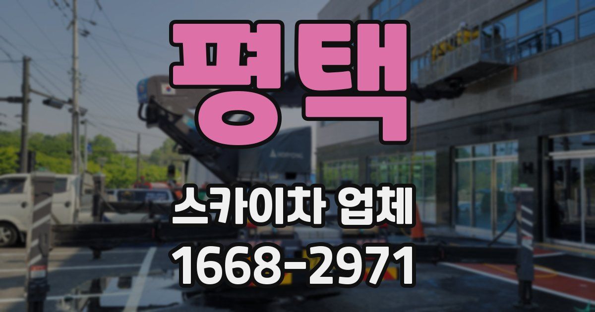 평택 스카이차 업체