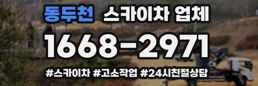 동두천 스카이차 업체