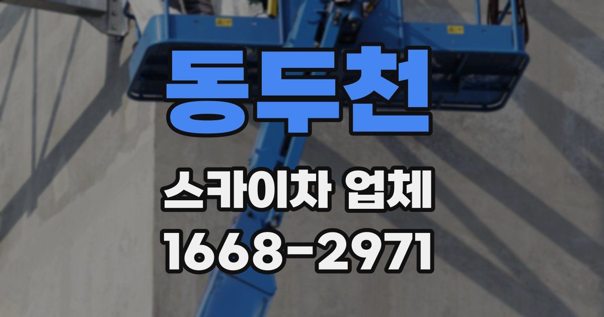 동두천 스카이차 업체