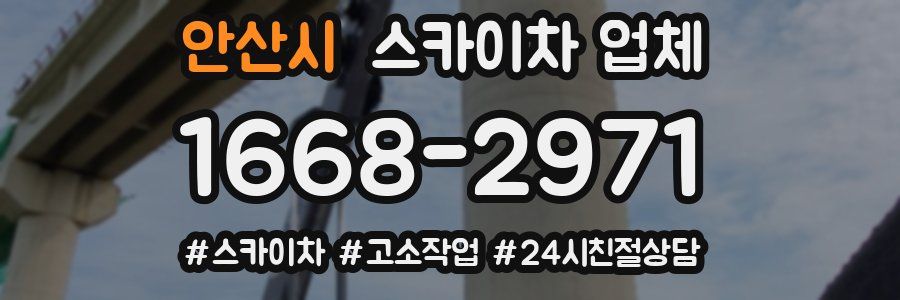안산시 스카이차 업체
