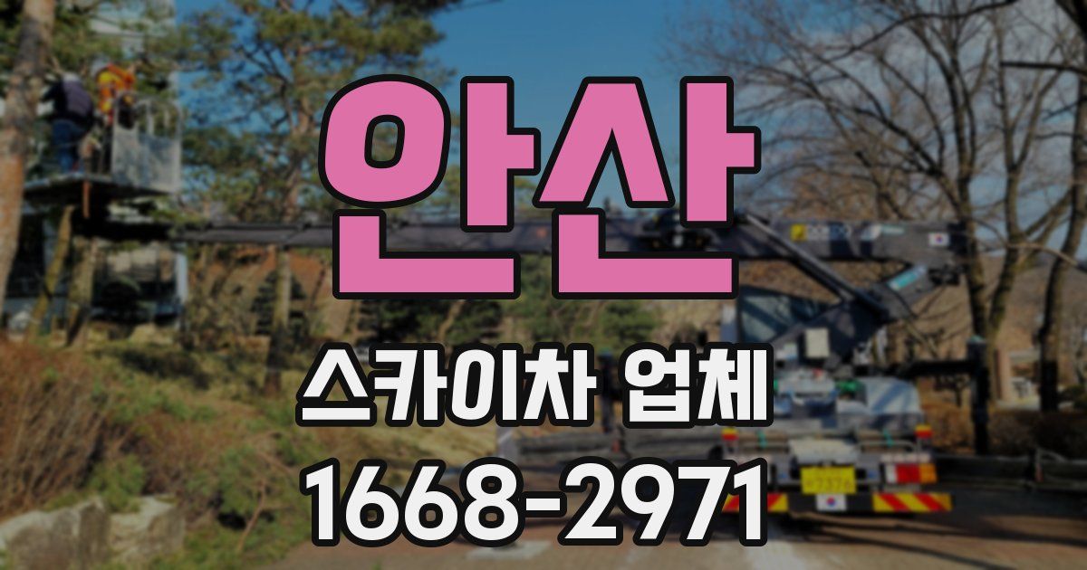 안산 스카이차 업체