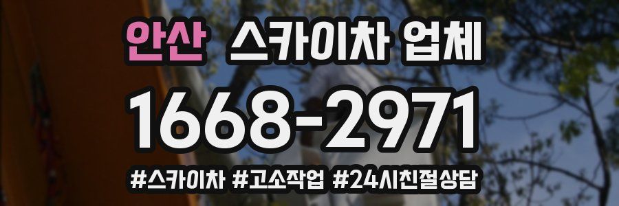 안산 스카이차 업체