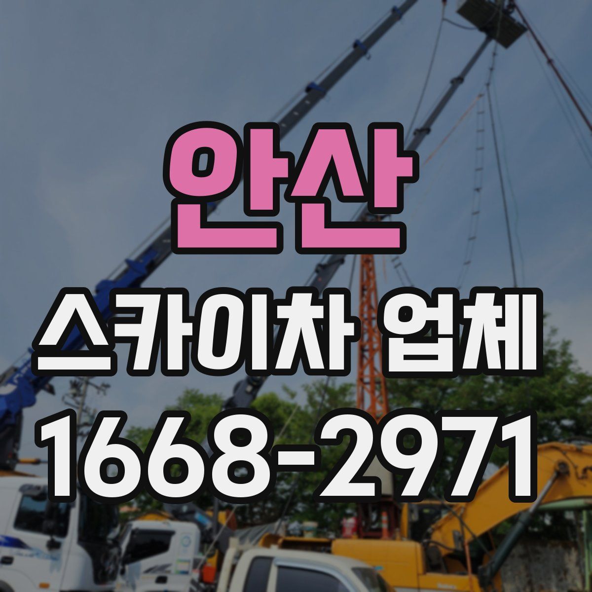안산 스카이차 업체