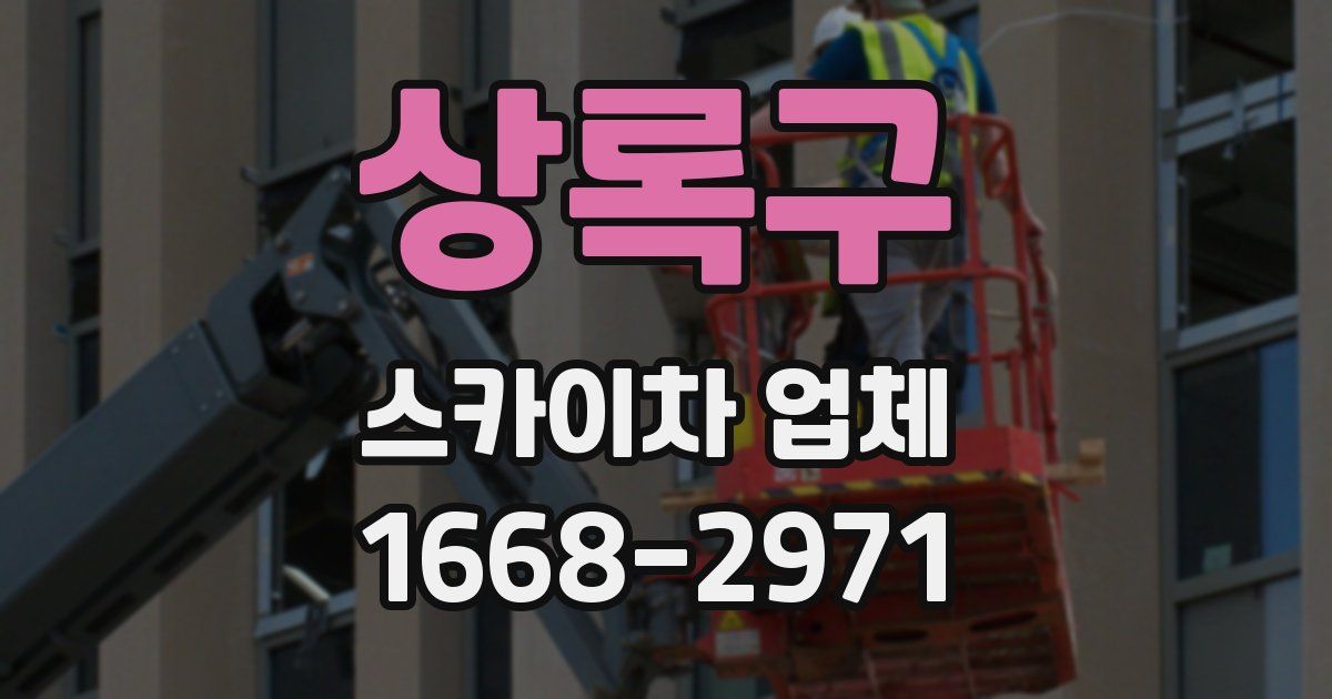상록구 스카이차 업체
